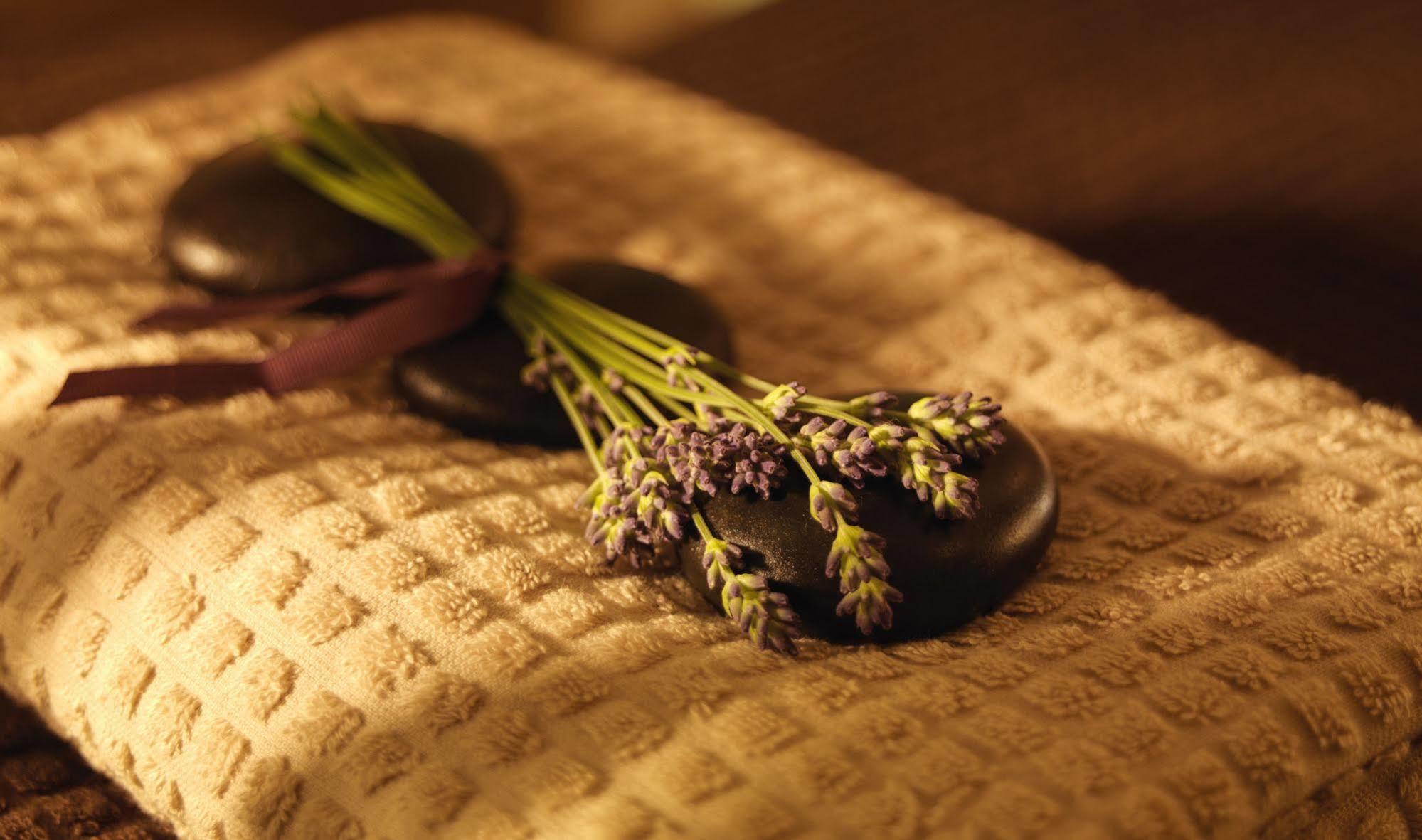 Druids Glen Resort Newtown Mount Kennedy المظهر الخارجي الصورة
